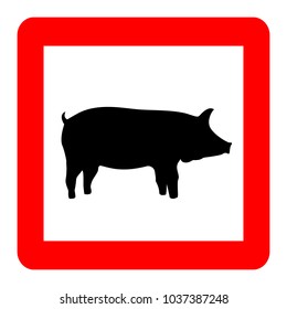 Pig black on white background, red square sign, vector