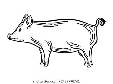 Pig black outline vector illustration. Pork line art, engraving, silhouette