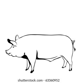 pig black and white vector illustration