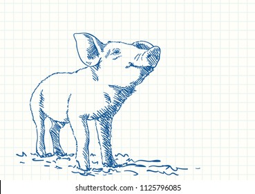 Pig, Blue pen sketch on square grid notebook page, Hand drawn vector illustration