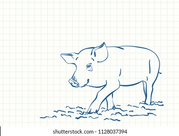 Pig, Blue pen sketch on square grid notebook page, Hand drawn vector linear illustration
