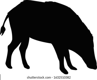 a pig body silhouette vector