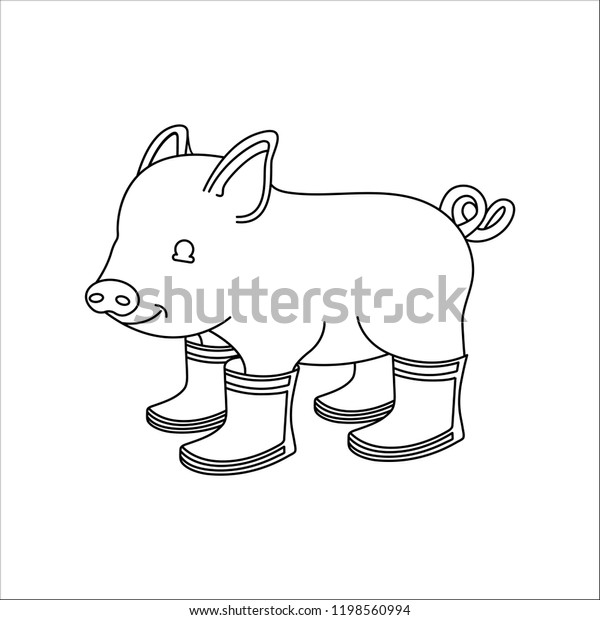 mini pig in boots