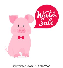 A pig in a bow tie. Winter sale hand lettering. Advertising poster