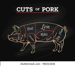 Pig butcher chalkboard scheme. Pork meat cut parts hand drawn diagram, pig steak cutting vector illustration