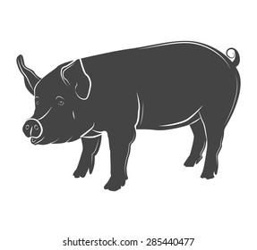 pig.  butcher shop.