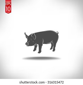 pig.  butcher shop.