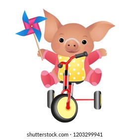 Pig by bicycle. Vector illustration