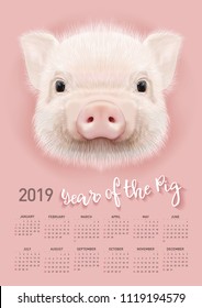 Pig calendar for 2019. Vector editable template with concept. Symbol of the year in the Chinese calendar. Realistic vector illustration.