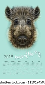 Pig calendar for 2019. Vector editable template with concept. Symbol of the year in the Chinese calendar. Realistic vector illustration of wild boar.