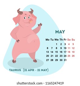 Pig calendar for May 2019. Cute month calendar with horoscope sign taurus. Week starts on monday. Vector illustration in cartoon style.