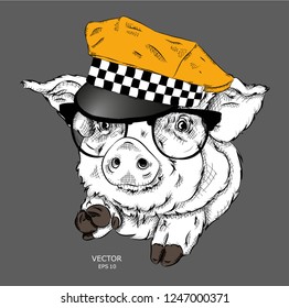 Pig in a cap taxi driver. Pig on the background of the city. Vector illustration