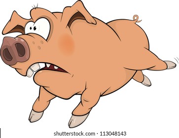 Pig. Cartoon