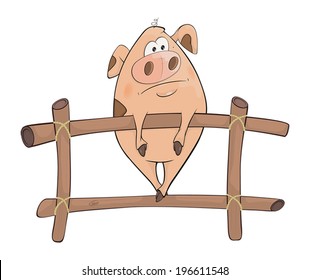Pig. Cartoon 