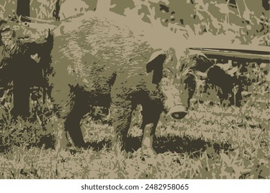 pig cartoon character background pig illastration