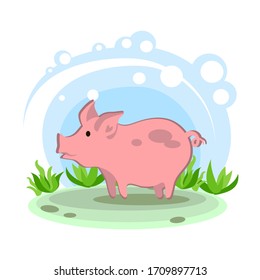 pig. Cartoon children's style. Character in location. Glade with plants and sky. simplified style. Vector stock illustration. domestic agricultural farm animal. educational card for children