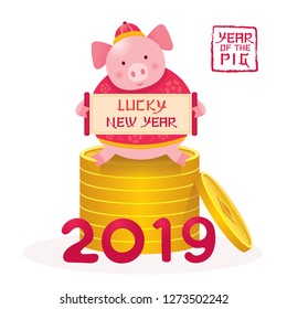 Pig Cartoon Holding Sign on Coins, Chinese New Year 2019, Zodiac, Holiday, Greeting and Celebration
