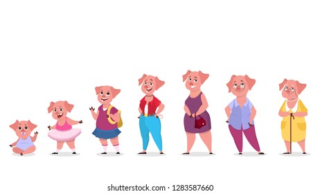 Pig character set in human clothes. Generation from baby to senior. Cute animal smile in costume. Vector illustration in cartoon style