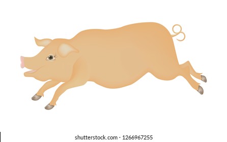 Pig is a cheerful, fat, pink piglet, with a smile - isolated on white background - vector