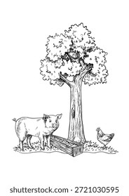 Porco e frango sob um carvalho. Ilustração vetorial em preto e branco desenhada à mão. Perfeito para fazendas de gado ou projetos agrícolas. Também adequado para rótulos, embalagens e muito mais.