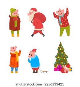 Pig Christmas Character Wearing Sweater and Scarf with Sack and Fir Tree Vector Set