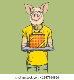 Pig Christmas and New Year vector concept. Illustration of pig in human suit celebrating