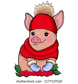 Pig in Christmas red hat 