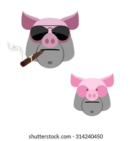 Pig with a cigar. Scary and angry Boar's head on a white background.
