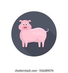 Pig color flat icon for web and mobile design