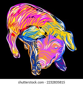 Pig. Colorful Pork in graphic style, hand drawing abstract vector illustration with large strokes of paint.