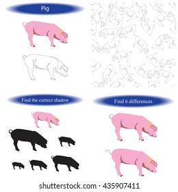 Pig. Coloring book, find differences for children. Vector illustration