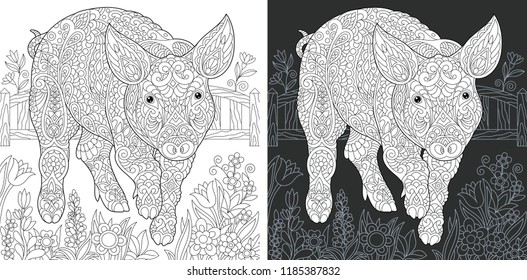 Pig. Coloring Page. Coloring Book. Colouring picture with piggy drawn in zentangle style. Antistress freehand sketch drawing. Vector illustration.