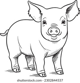 A Pig, a colouring book for kids, easy to colour, vector illustration, Vector, Annimals