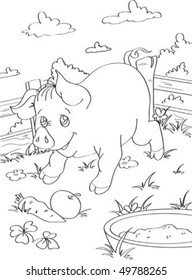  	Pig contour
