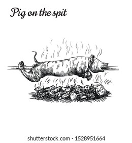 the pig is cooked on coals and rotates on a skewer. vector sketch on a white