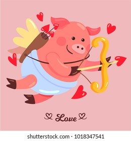 Pig Cupid Character Design