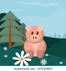 Pig cute animals cartoons