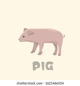 Pig cute children's vector illustration