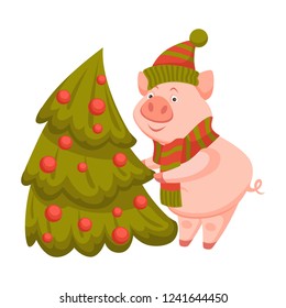 Pig decorating fir tree for winter holiday celebration