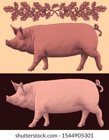 Pig. Design set. Hand drawn engraving. Editable vector vintage illustration. Isolated on light and dark background. 8 EPS 