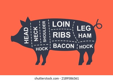 Pig diagram cuts. Butcher scheme poster. Cuts of pork meat. Meat diagram scheme illustration. Farm animal silhouette.