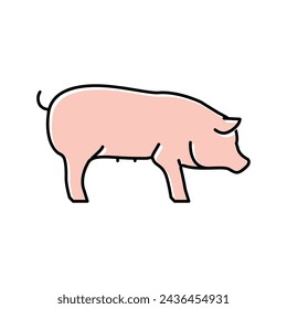 pig domestic animal color icon vector. pig domestic animal sign. isolated symbol illustration