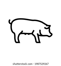 pig domestic animal line icon vector. pig domestic animal sign. isolated contour symbol black illustration