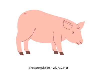 Suínos, animais domésticos, gado rural. Suínos, fauna rural. Porco, leitão domesticado andando, vista lateral. Ilustração vetorial gráfica plana isolada no plano de fundo branco