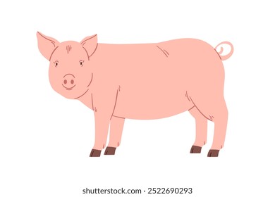 Porco, animal doméstico de fazenda. Suínos, gado rural. Fauna da aldeia rural. Porco domesticado olhando. Ilustração vetorial gráfica plana isolada no plano de fundo branco