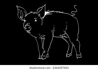 Pig drawn with a white outline on a black background. Piglet drawn with chalk or brush on a black background. Vector graphics. Illustration EPS 10