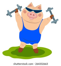 Pig with dumbbells on isolated background.
