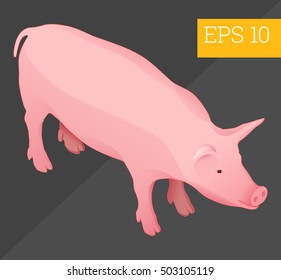 pig eps10 vector 3d illustration. pig cartoon