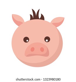 pig face animal