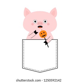 Pig face head in the pocket. Halloween pumpkin. Cute cartoon animals. Piggy piglet character. Dash line. White and black color. T-shirt design. Baby background. Isolated. Flat design. Vector